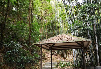 南昆山温泉大观园第 55 张图片
