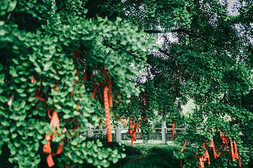 惠济寺第 15 张图片