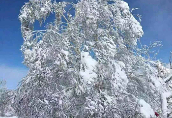 亚布力阳光度假村第 3 张图片