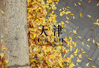 望海楼第 15 张图片
