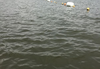 东钱湖随风沙滩第 28 张图片