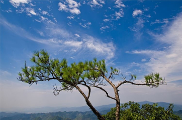 龙须山景区第 55 张图片