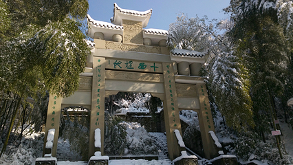 茶山竹海第 24 张图片