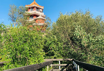 百望山森林公园第 34 张图片