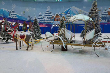 重庆热雪奇迹第 47 张图片