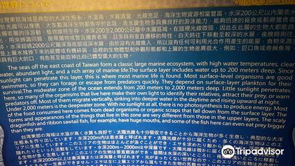 阿美族文化中心第 6 张图片