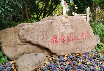 徐光启墓第 6 张图片