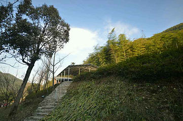 中国大竹海景区第 51 张图片