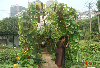 莲溪寺第 4 张图片