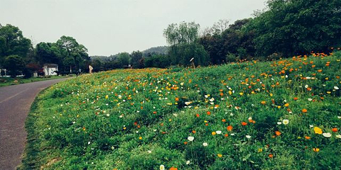 宜春花博园第 18 张图片