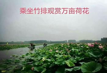 微山岛景区第 31 张图片