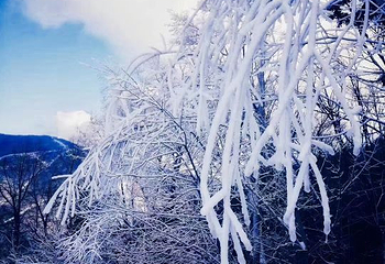 北大湖滑雪度假区第 69 张图片