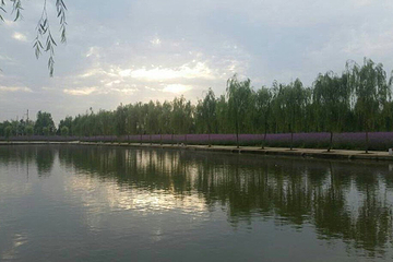 醉美西湖观光游乐园第 19 张图片