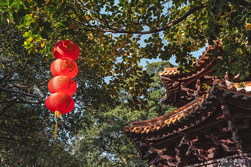 南海神庙第 20 张图片