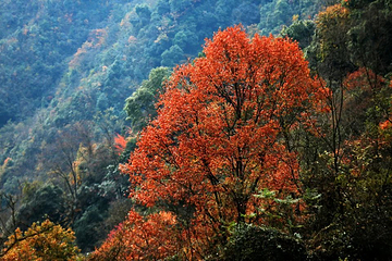 观雾山第 10 张图片