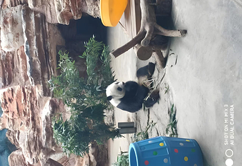 石家庄市动物园第 39 张图片