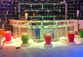 侏罗纪冰雪乐园(横岗店)第 39 张图片