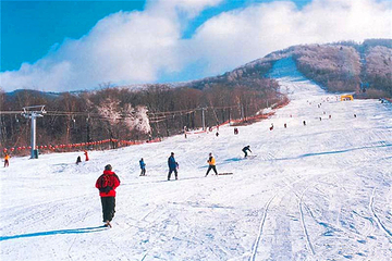 塞罕坝滑雪场第 10 张图片