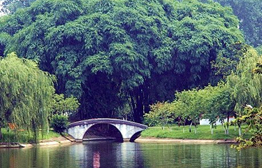 金雁湖公园第 16 张图片