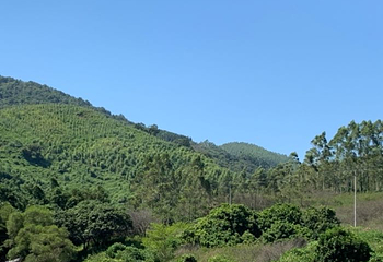 哈溪激流探险第 5 张图片