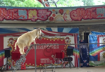 桂林动物园第 34 张图片
