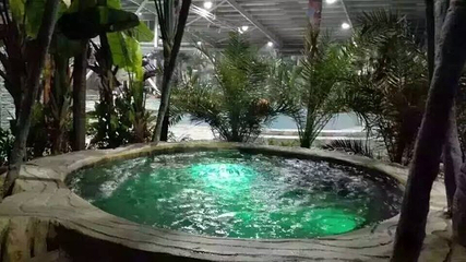 九龙温泉度假村第 28 张图片