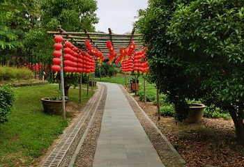 五磊山风景区第 15 张图片