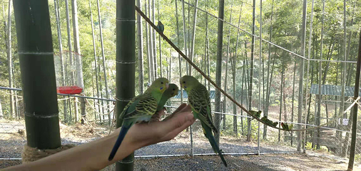 桃江安宁竹谷生态景区第 6 张图片