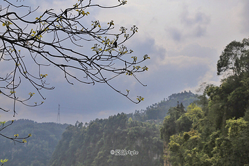 桫椤湖第 24 张图片