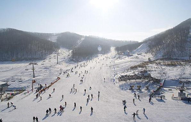 塞罕坝滑雪场第 6 张图片
