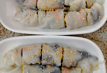 寸金动物园第 7 张图片