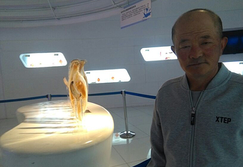 深海恐龙馆第 33 张图片