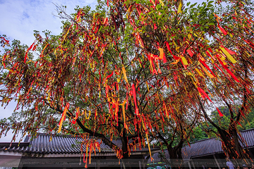 南海观音寺第 4 张图片