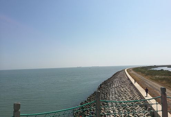 海阳连理岛第 30 张图片