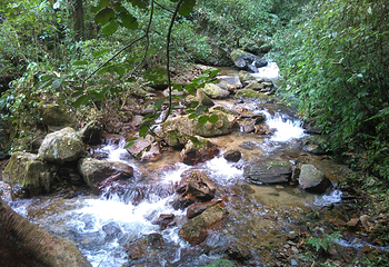 莫里热带雨林景区第 46 张图片