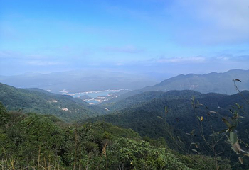 五指山第 8 张图片