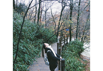 光雾山旅游景区第 132 张图片