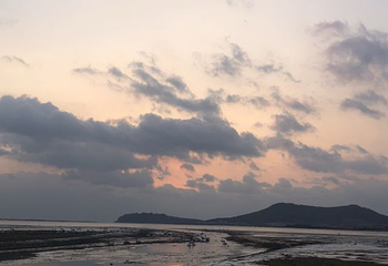 天鹅湖生态旅游区第 30 张图片