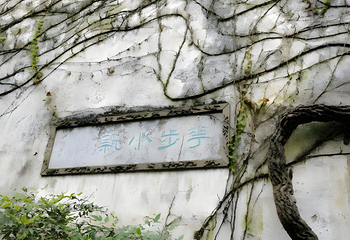 留园第 261 张图片