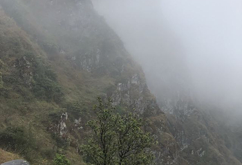 天龙顶国家山地公园第 13 张图片