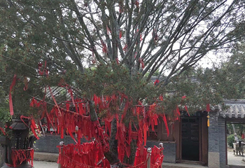 清风寺第 10 张图片