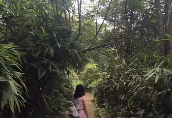 永安葛里栟榈山风景区第 20 张图片