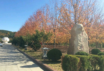 横山寺第 9 张图片