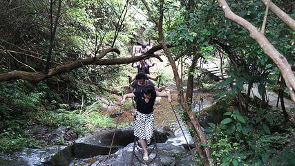 皇龙峡森林漂流第 26 张图片