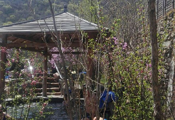 花溪沐枫雪温泉旅游度假区第 38 张图片