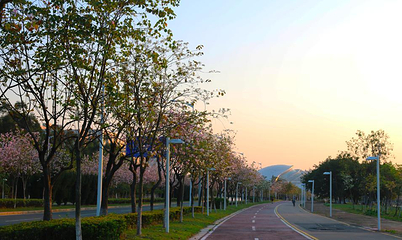 广州大学城博物馆第 11 张图片
