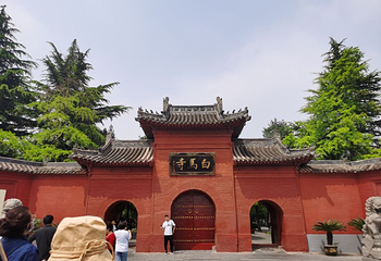 神州牡丹园第 32 张图片