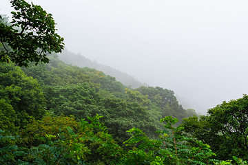 燕子山原始生态旅游风景区第 23 张图片