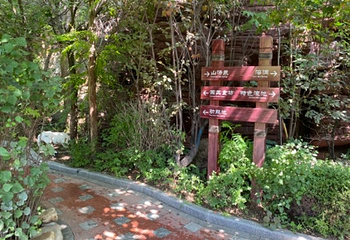 卓阅清水湾温泉度假区第 11 张图片