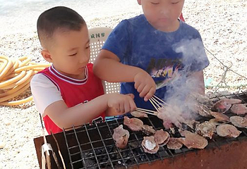 长岛兴成赶海园第 9 张图片